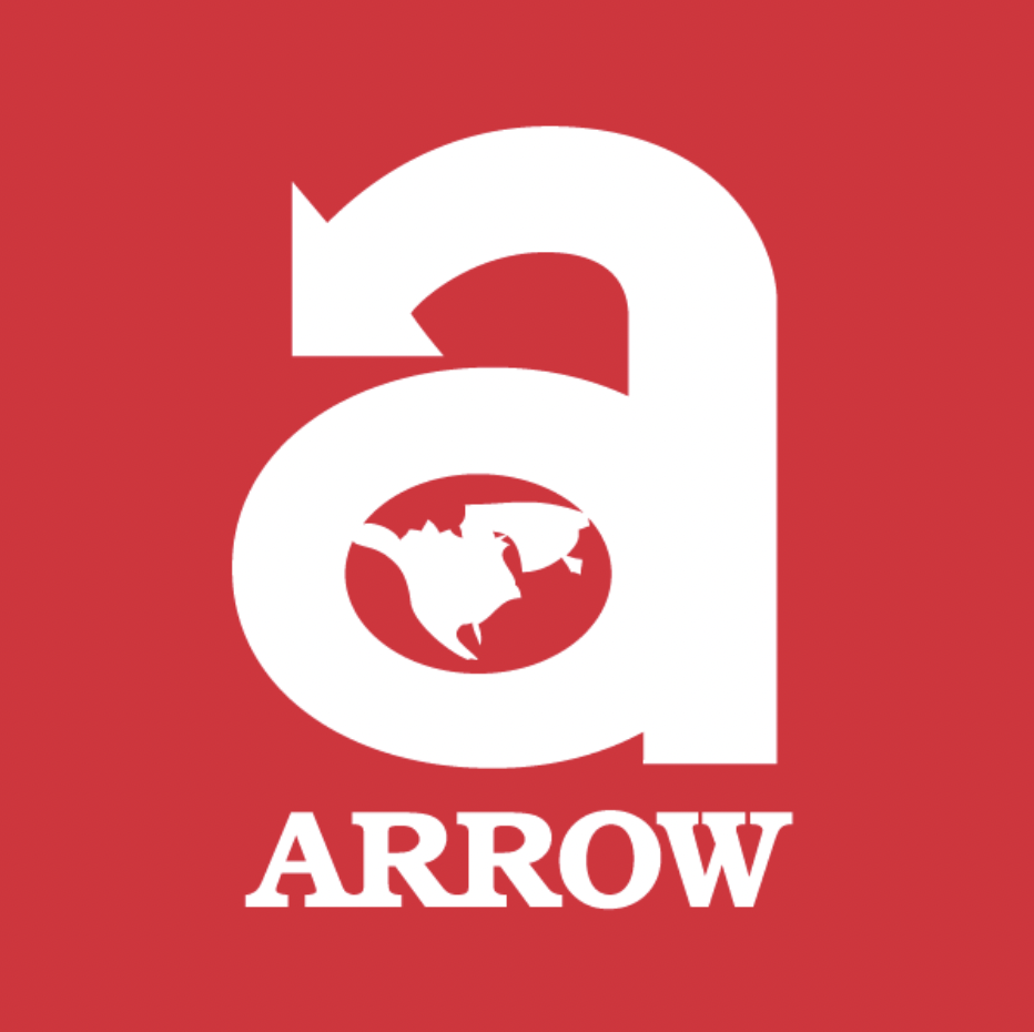 Arrow International logo